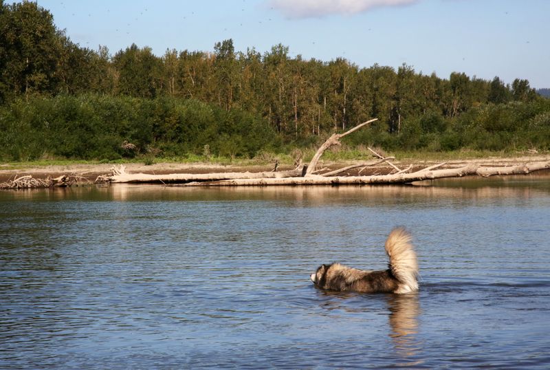 Sandy River Delta – Troutdale