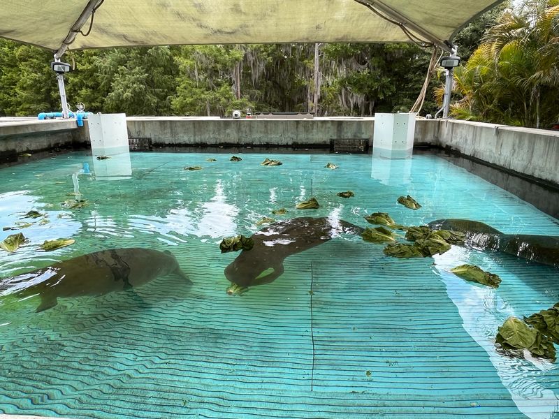 SeaWorld Orlando Rescue & Rehabilitation Center