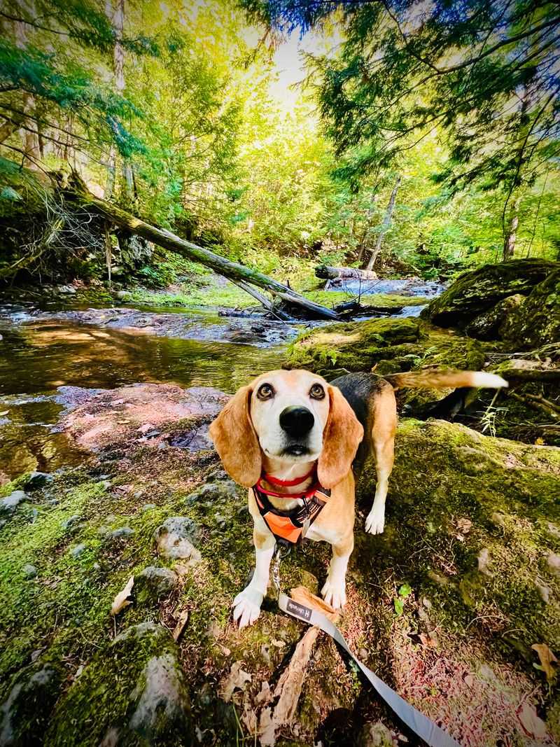 Trail-Ready Energy That Never Quits