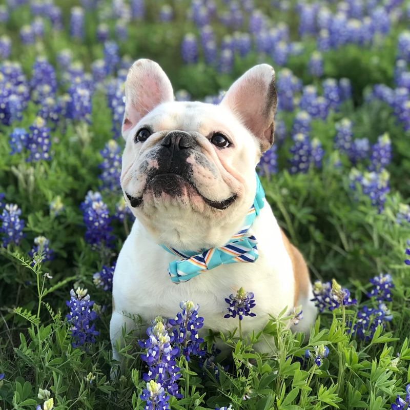 Year-Round Sunshine And Outdoor Adventures