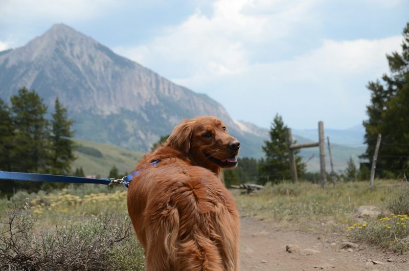 High-Altitude Endurance