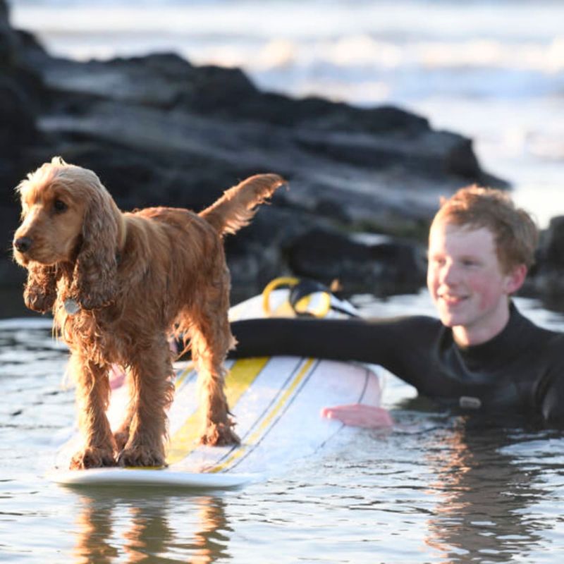 Good Kharma Surf Instruction – Huntington Beach, CA