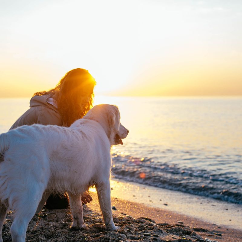 Limit Sun Exposure During Peak Hours