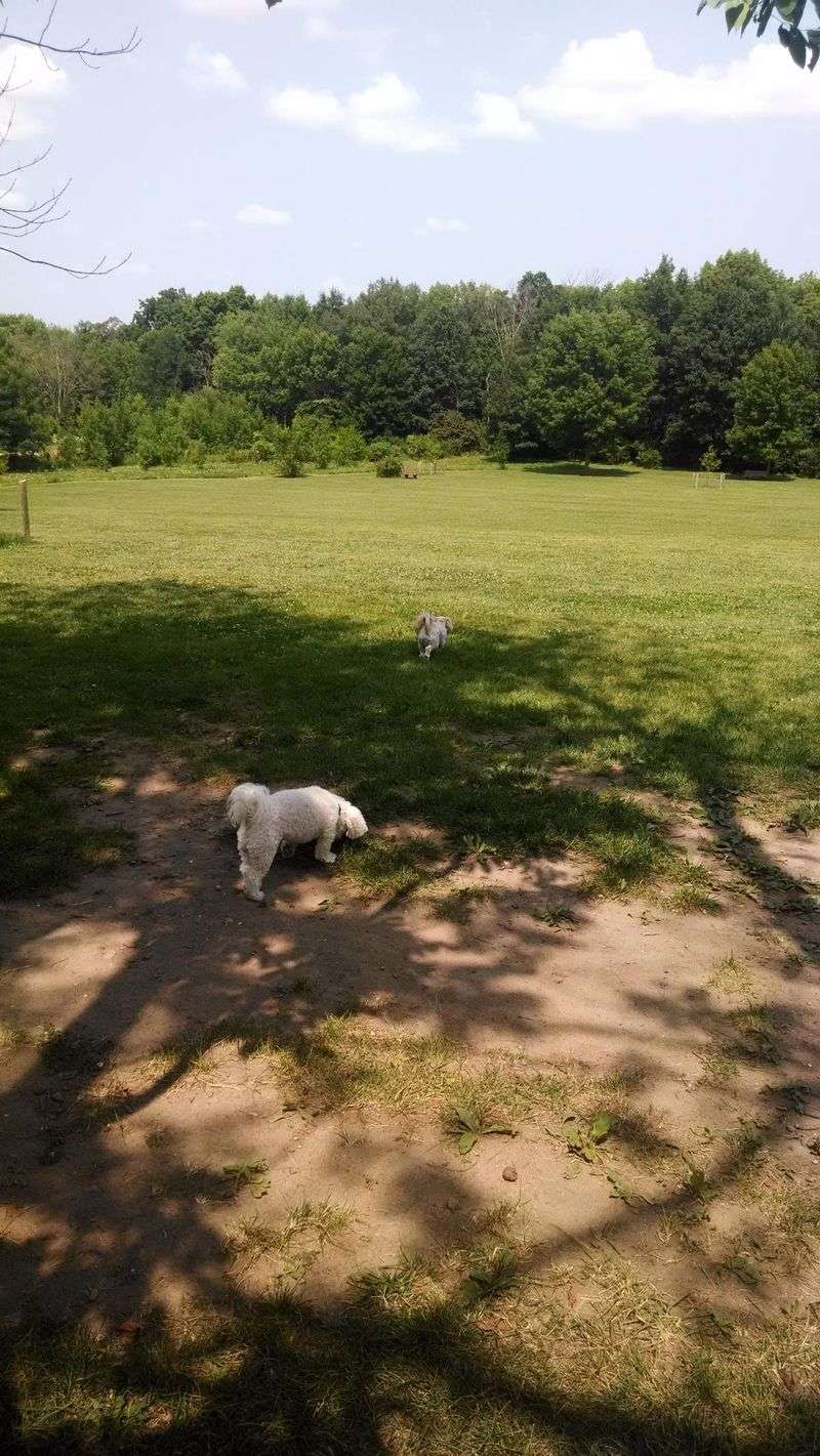 Minooka Park Dog Area