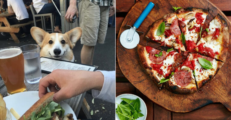 11 Dog-Friendly Oregon Restaurants Every Foodie Should Visit