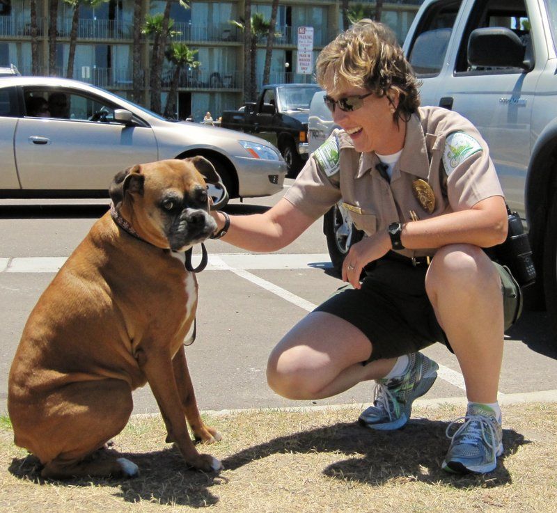 Leash Law Limbo: The Six-Foot Rule