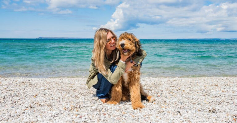 11 Hidden Fresh-Water Beaches In Michigan That Welcome Dogs (And Zero Crowds)