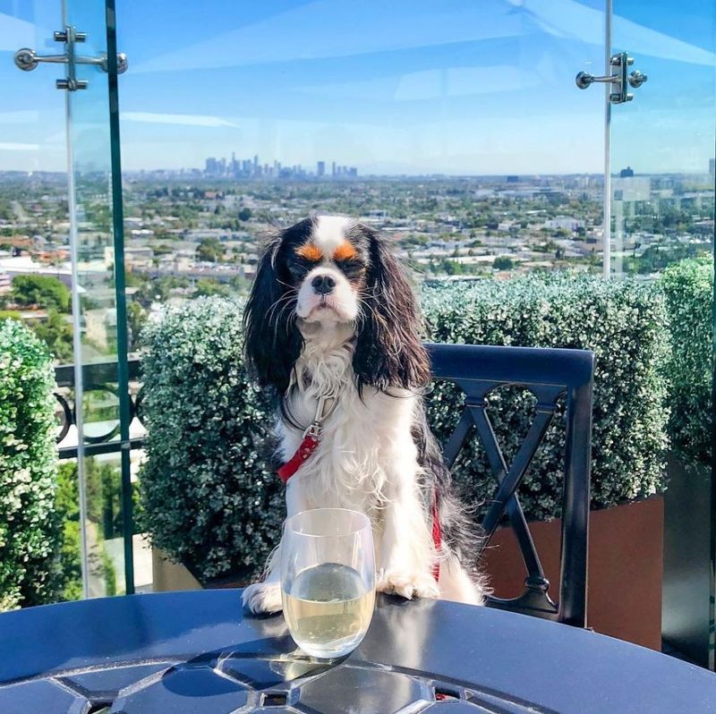 West Hollywood