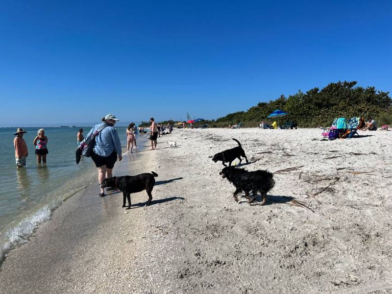 Fort De Soto Park Dog Beach – Tierra Verde
