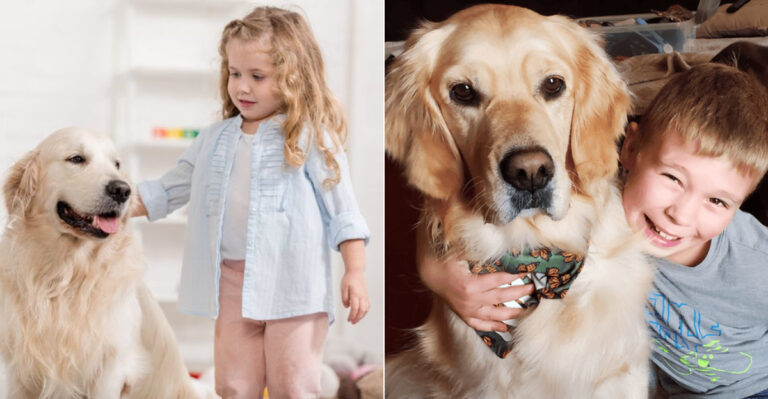 12 Kid-Friendly Puppy Training Tips Illinois Parents Rely On