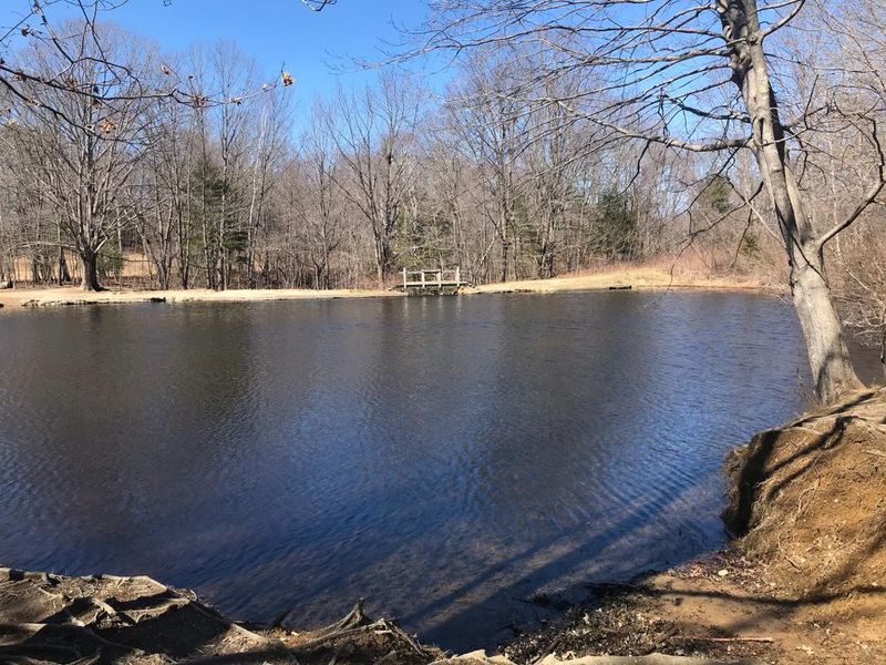 Hinckley Park: South Portland's Hidden Canine Paradise