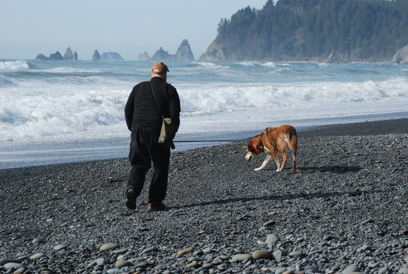 Pet Paradise Population