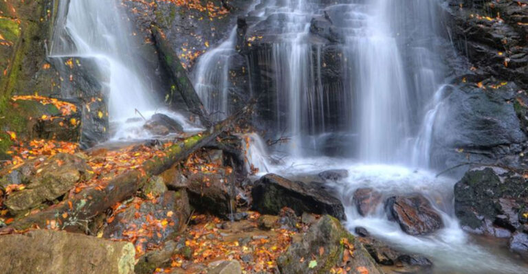 12 Must-Visit Dog-Friendly Waterfalls In North Carolina