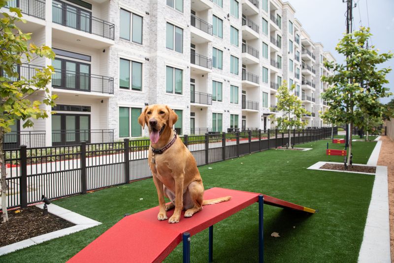 High Pet-Friendly Rental Rates