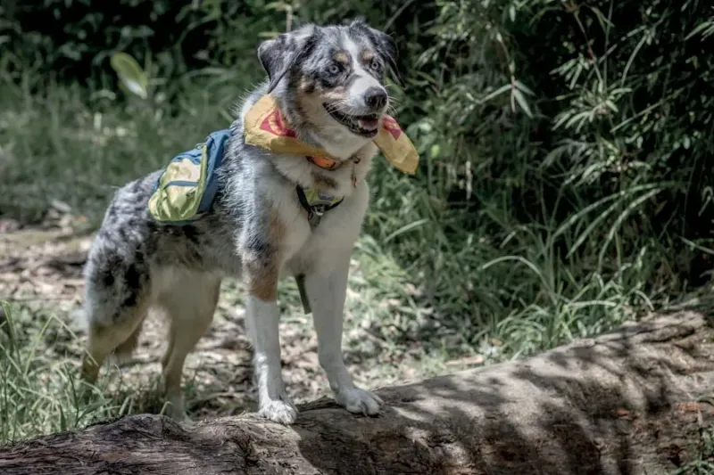 High Energy Level Matches New Mexico's Outdoor Lifestyle