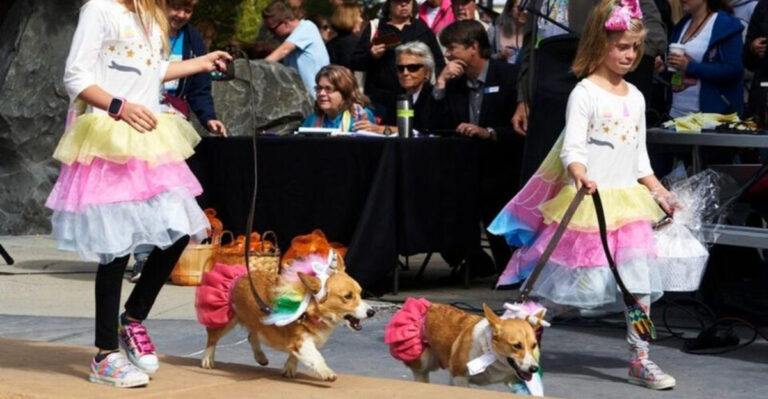 12 Reasons Why North Carolina’s Corgis Steal The Show In Small-Town Parades