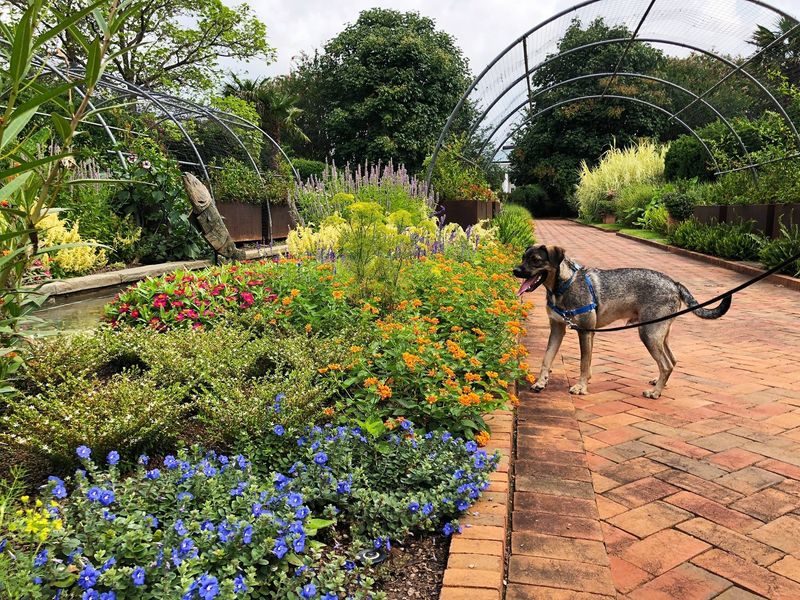 Daniel Stowe Botanical Garden – Belmont