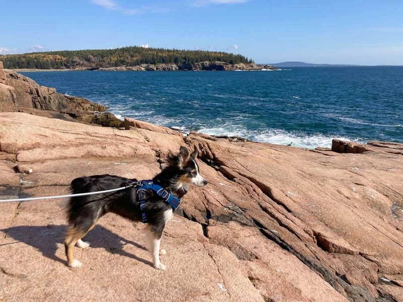 Acadia National Park (Maine)