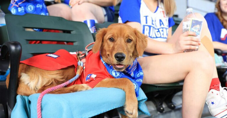 18 Clues That Show Your Dog Is A Genuine Texan (And They Own It)