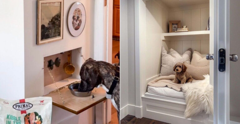 5 Clever Tiny-House Hacks To Help Big Dogs Thrive In Small Maine Cabins