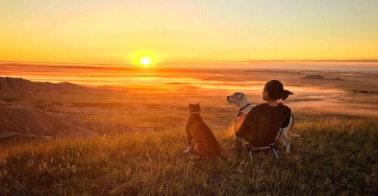 5 Off-Leash Trails In Texas National Grasslands Perfect For Herding Dogs