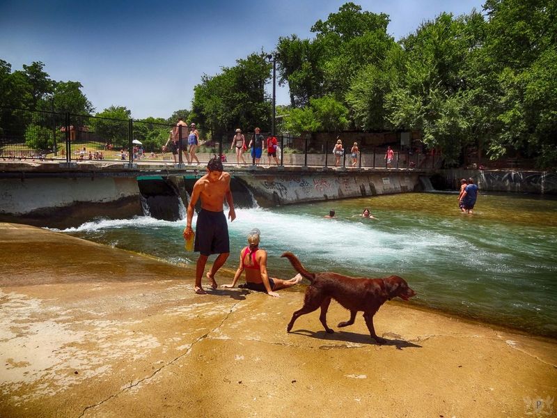 Barking Springs – Austin