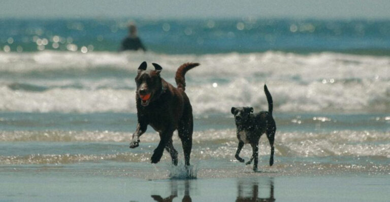 4th of july destinations california