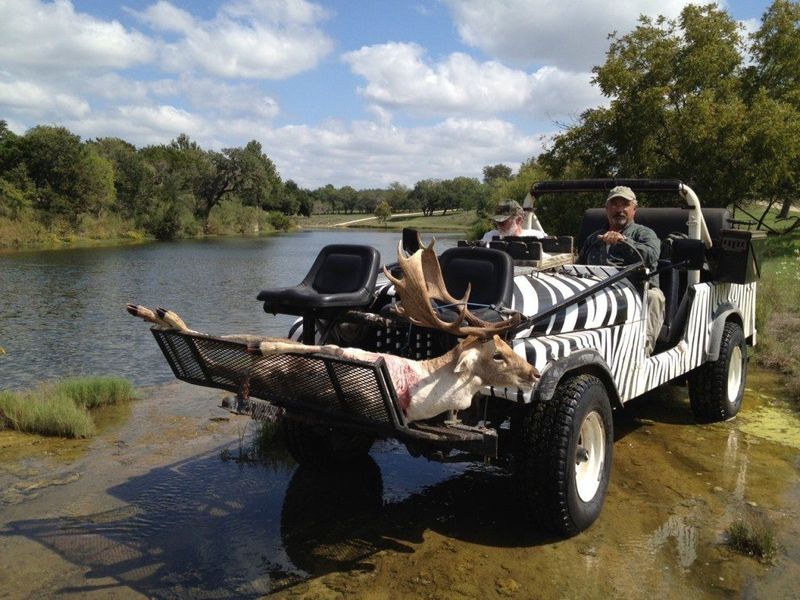 Shonto Ranch – Kerrville's Hidden African Safari