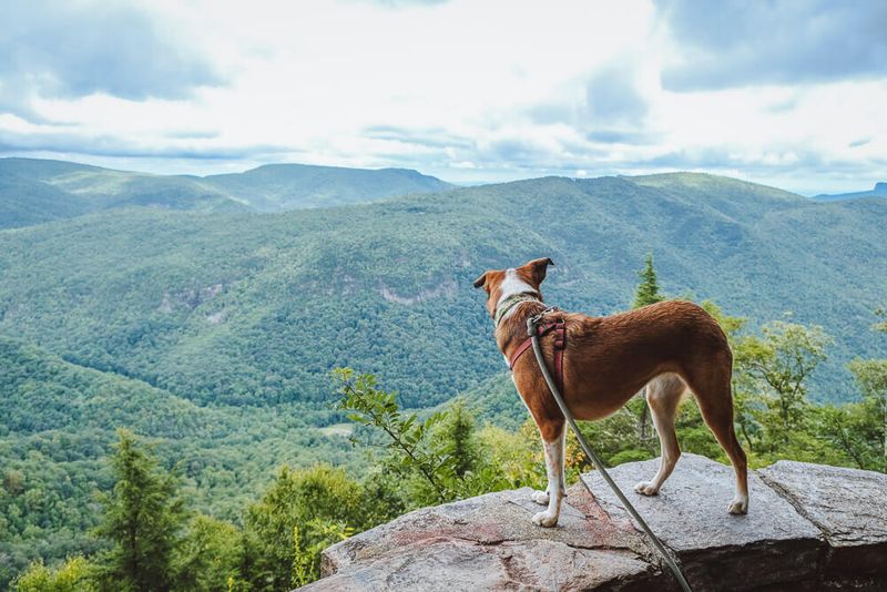 Blue Ridge Parkway