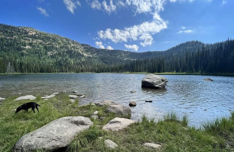 Moose Lake Loop (Idaho Panhandle National Forest)