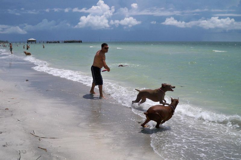 Fort De Soto Dog Park – St. Petersburg