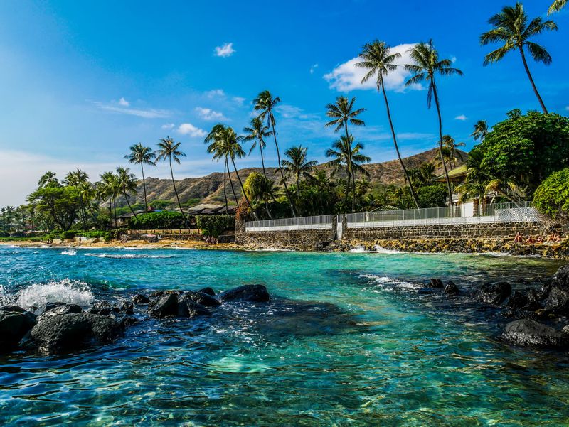 Kāhala Beach: A Canine Snorkeler's Dream