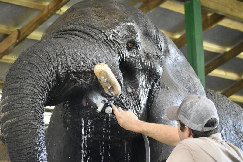 Myakka Elephant Ranch – Myakka City