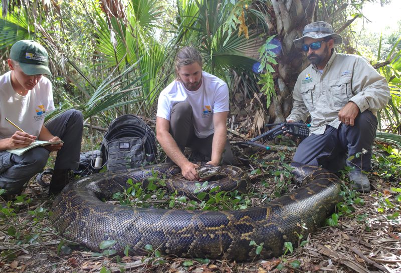 Conservation Efforts