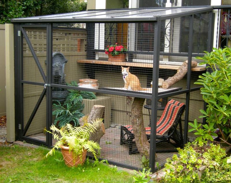 Indoor Cat Capital