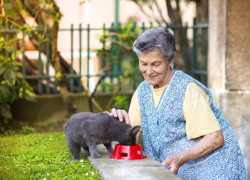 Health Benefits For Massachusetts Residents Of All Ages