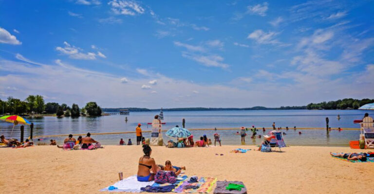 Alligator Alert: 12 North Carolina Swimming Spots That Are Safe