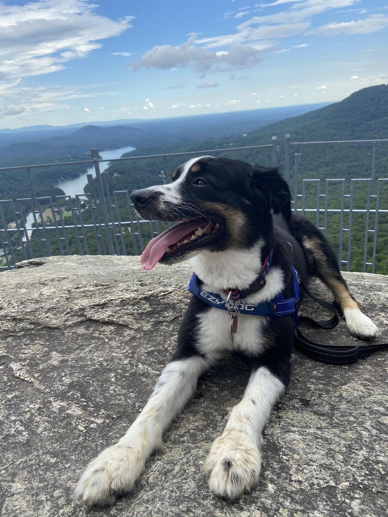 Chimney Rock State Park – Chimney Rock