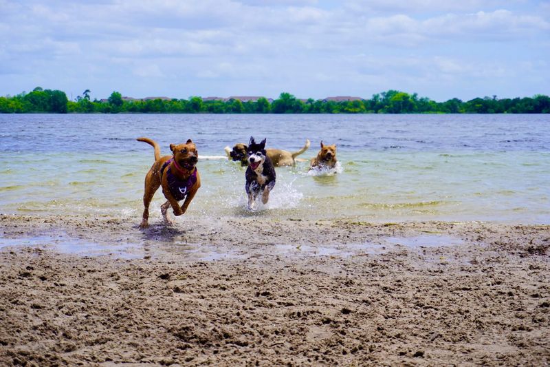 Lake Baldwin Park – Winter Park