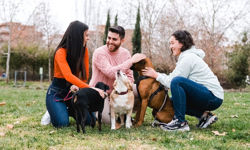 HOAs Can Restrict Your Furry Family