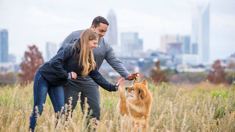 Charlotte: Urban Oasis with Canine Conveniences