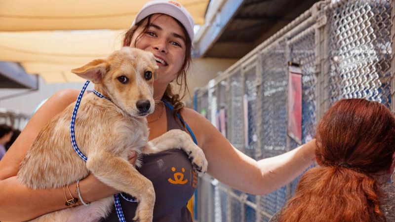 Choose The Right Rescue