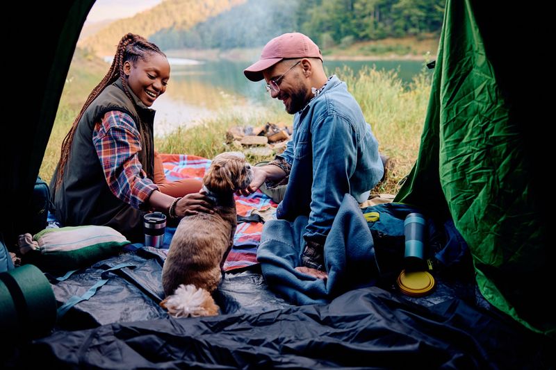 Bring A Complete Dog Road-Trip Kit