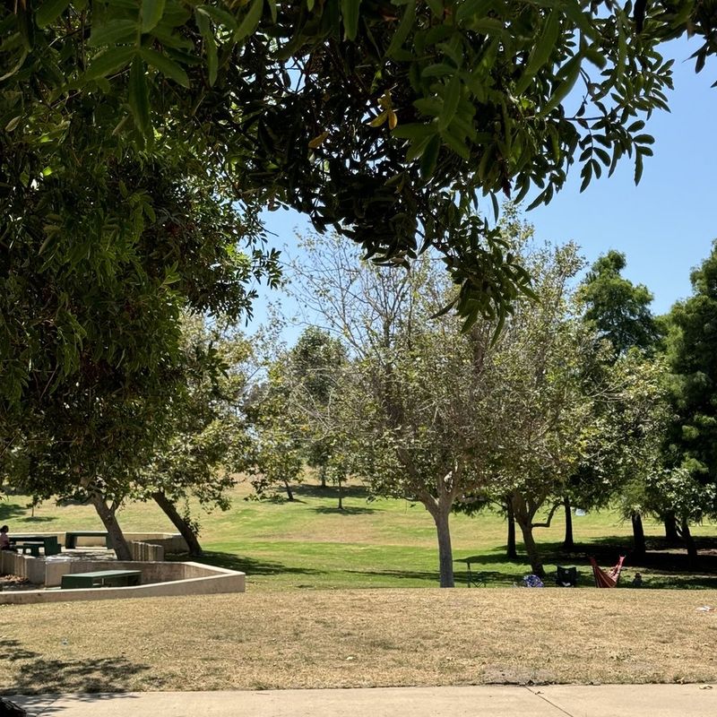 Morley Field Dog Park: A Social Hub for San Diego Pups