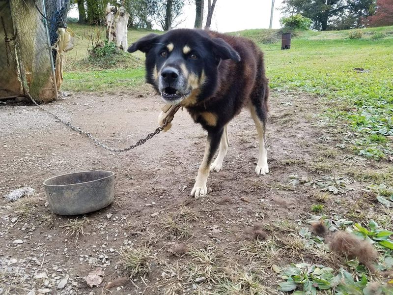 Tethering Restrictions: The Anti-Chaining Law