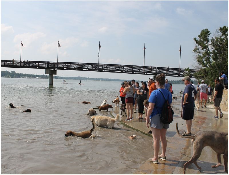 White Rock Lake Dog Park – Dallas