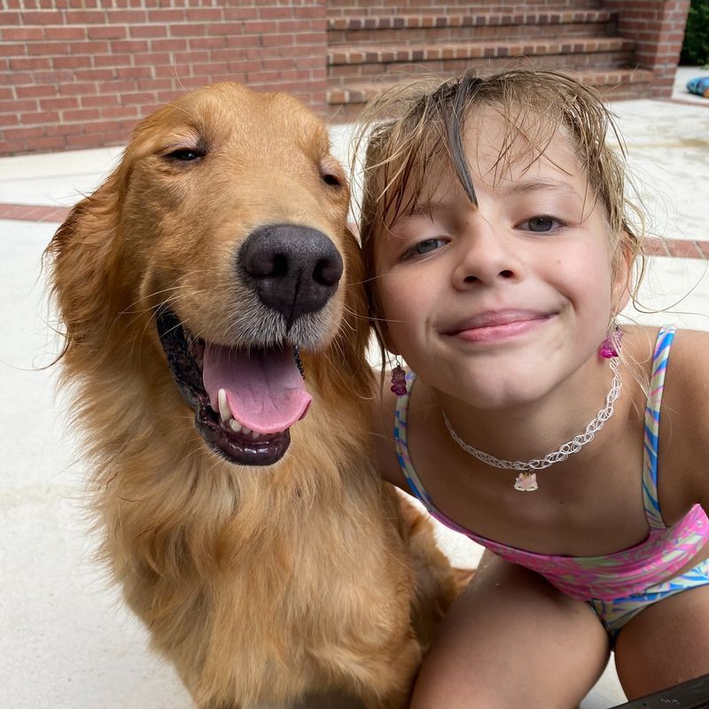 Golden Retriever: The Gentle-Hearted Companion