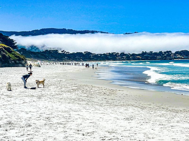 Carmel-By-The-Sea's Doggy Dreamland
