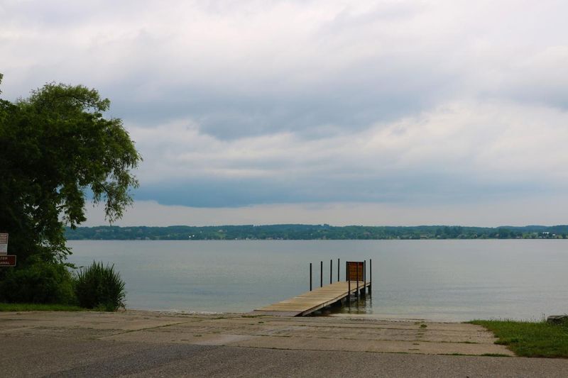 Lake Leelanau's Twin-Basin Canine Haven
