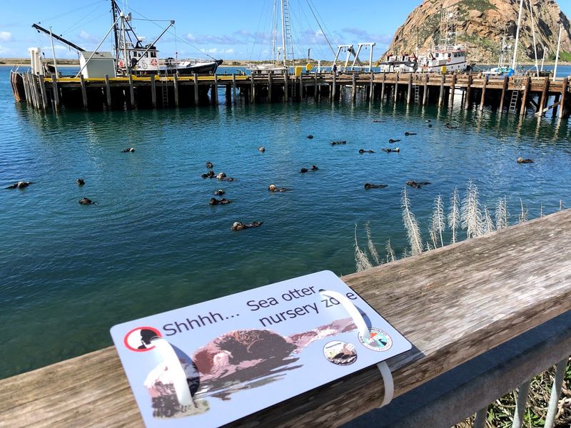 Morro Bay's Sheltered Waters